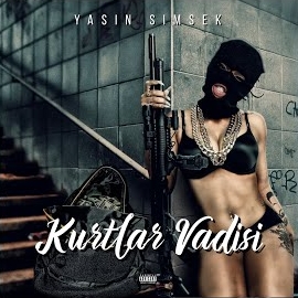 Kurtlar Vadisi