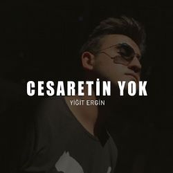 Cesaretin Yok