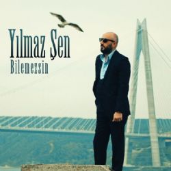 Bilemezsin