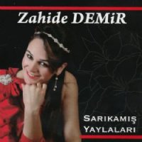 Sarıkamış Yaylaları