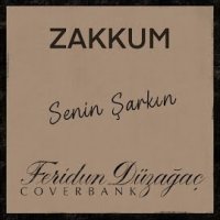 Senin şarkın