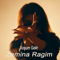 Xoşum Gelir