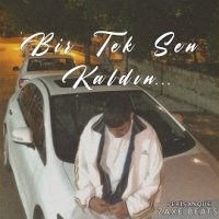 Bir Tek Sen Kaldın