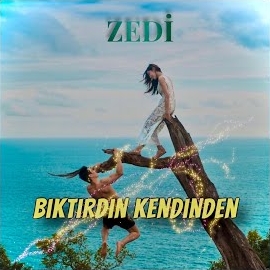 Biktirdin Kedinden