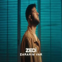 Zararım Var
