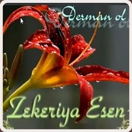 Derman Ol