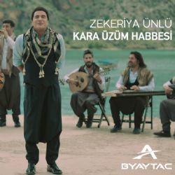 Kara Üzüm Habbesi