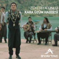 Kara Üzüm Habbesi
