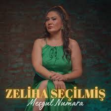 Meşgul Numara