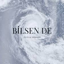 Bilsen de