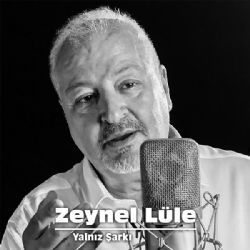 Yalnız Şarkı