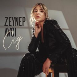 Çığ