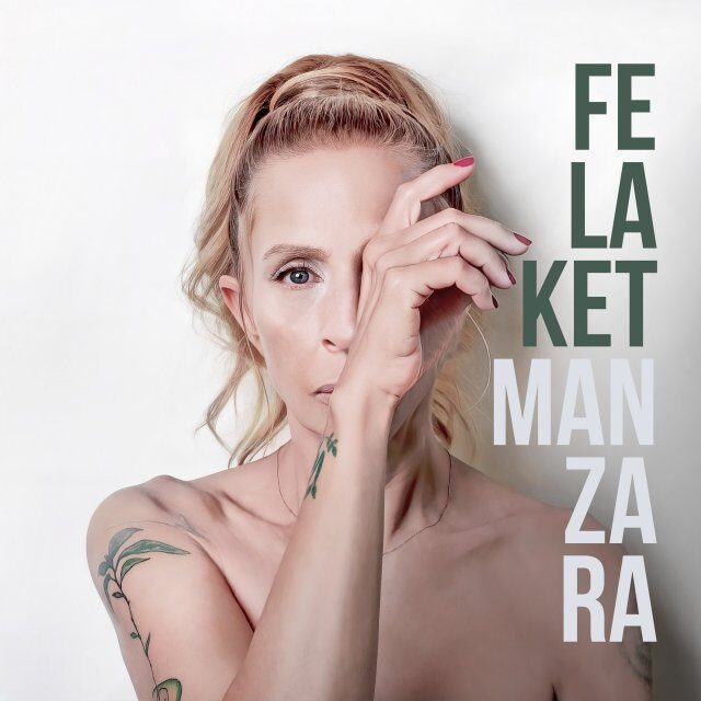 Felaket Manzara