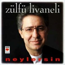 Neylersin