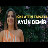İğne Attım Tarlaya