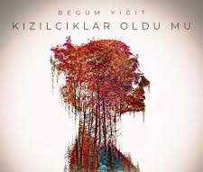 Kızılcıklar Oldu mu