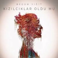 Kızılcıklar Oldu mu