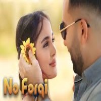 Ne Ferqi