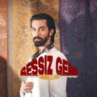 Sessiz Gemi