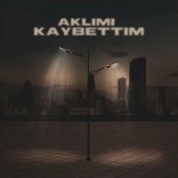 Aklımı Kaybettim