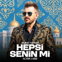 Hepsi Senin mi